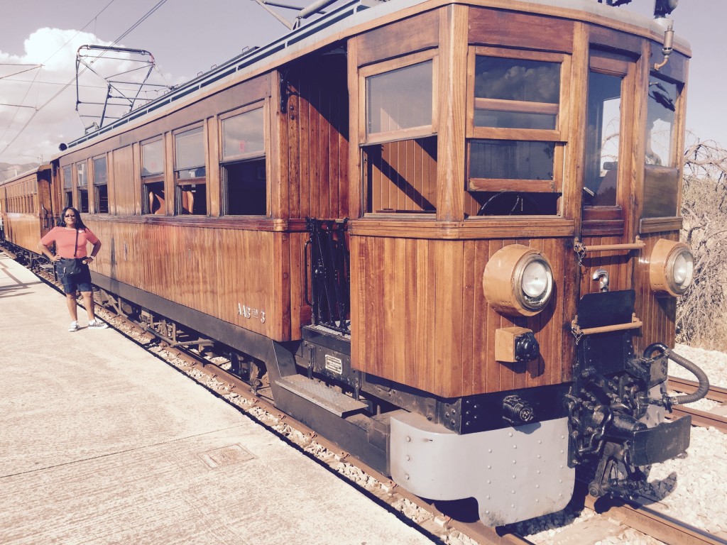 Sollier Train 083015