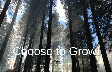 choose-to-grow-ii-467x300